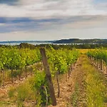 게스트하우스 Koczor Winery &