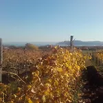 Vendégház Koczor Winery &