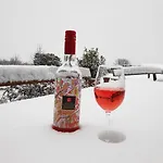 게스트하우스 Koczor Winery & 블로톤퓌레드