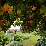 Koczor Winery &