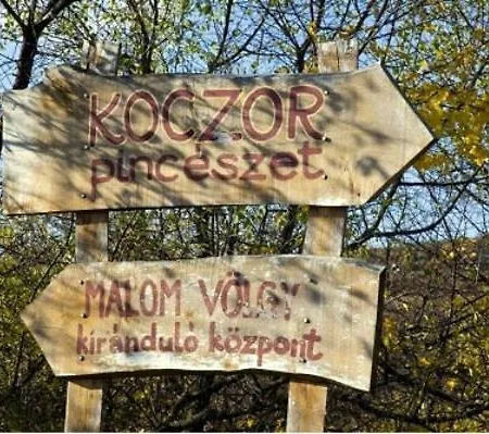 Koczor Winery & *