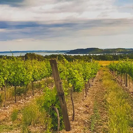 Guest house Koczor Winery &