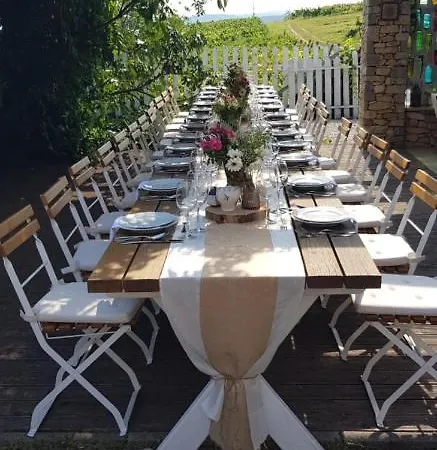 Koczor Winery & Guest house
