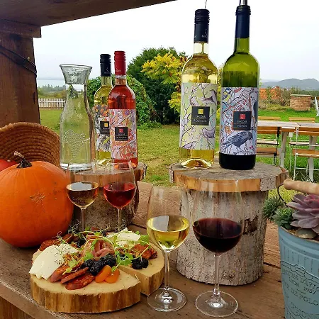 Koczor Winery & Guest house *