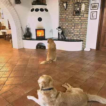 Koczor Winery & 招待所