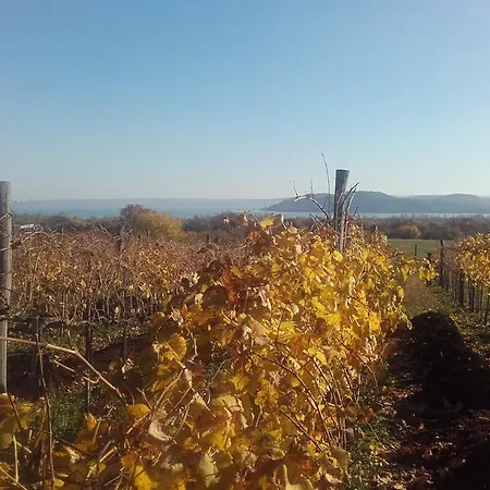 Guest house Koczor Winery &