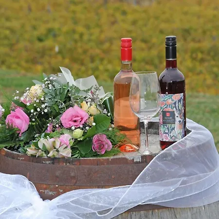 Koczor Winery &