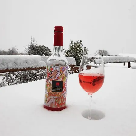 Guest house Koczor Winery & Balatonfured