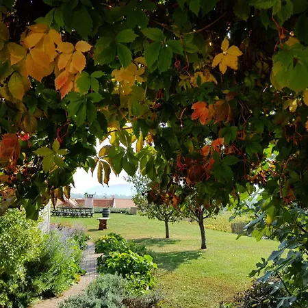 Koczor Winery &