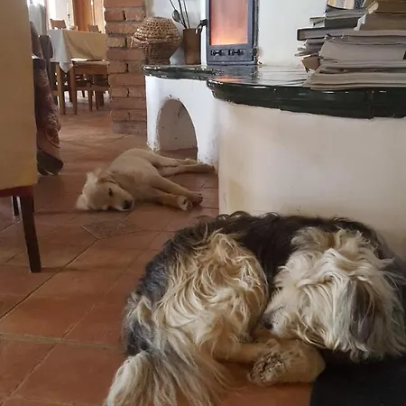 Πανσιόν Koczor Winery & *