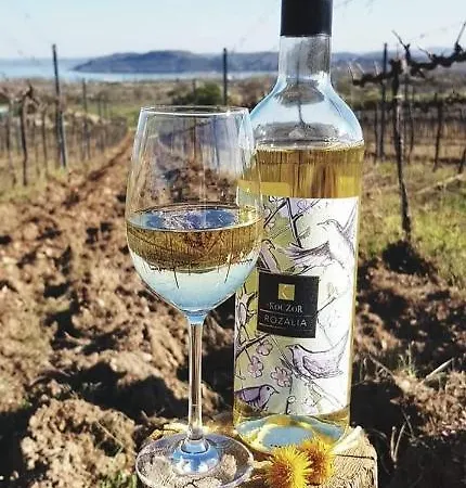 Πανσιόν Koczor Winery & 3*