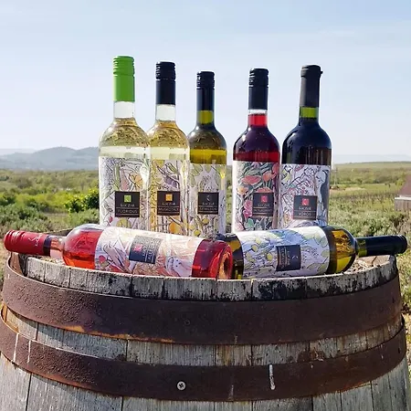 Koczor Winery & Guest house *