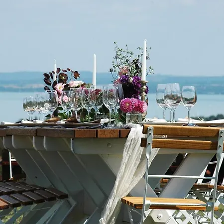 Koczor Winery & Casa de hóspedes Balatonfüred