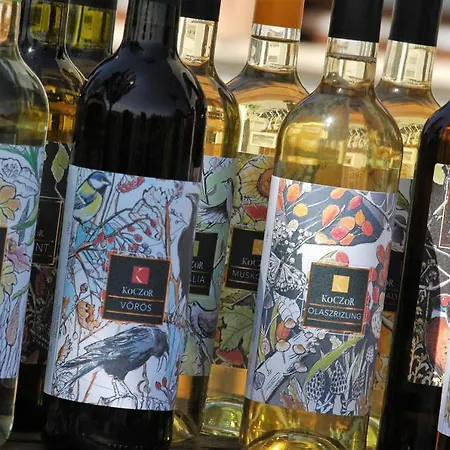 게스트하우스 Koczor Winery &