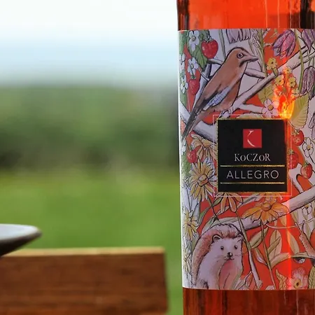 בית הארחה Koczor Winery & 4*