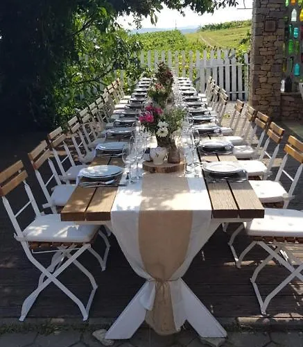 Koczor Winery & Pensiune