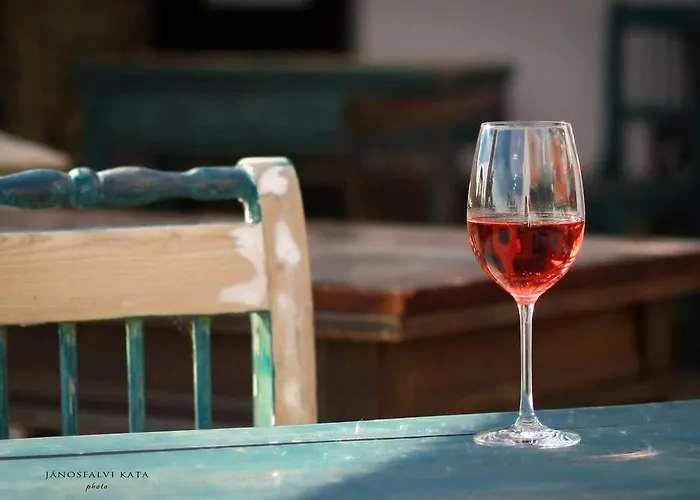Pensiune Koczor Winery & 4*