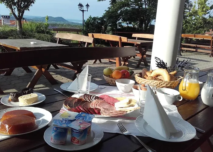 Koczor Winery & Pensiune