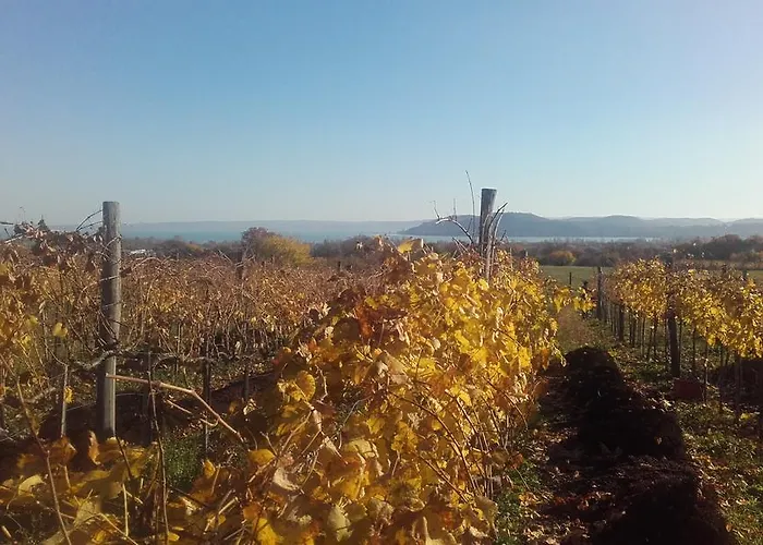 בית הארחה Koczor Winery &