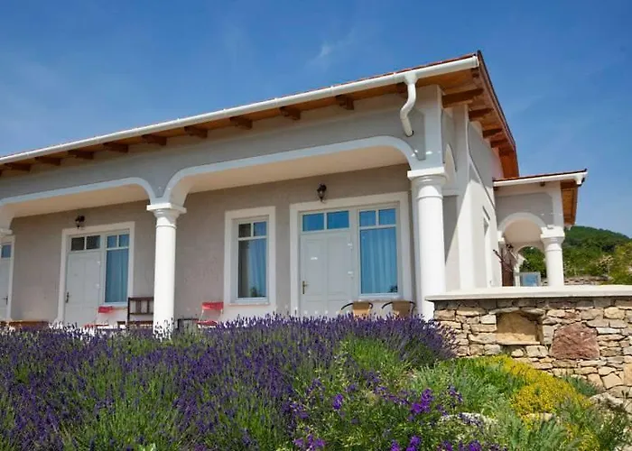 Koczor Winery & בית הארחה באלאטונפורד