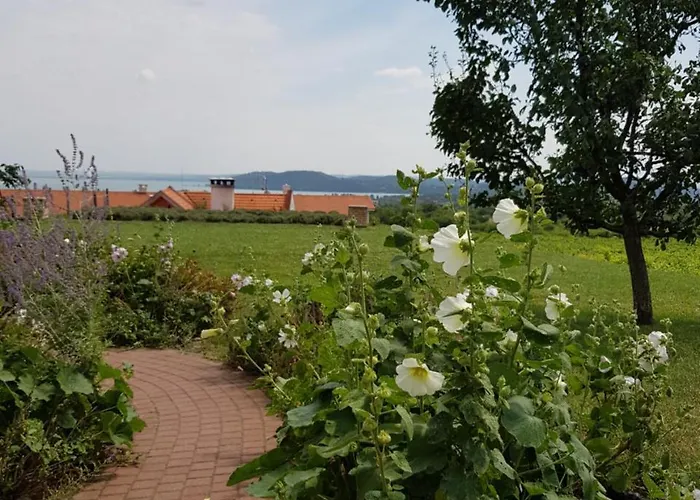 Koczor Winery & Pensiune 4*