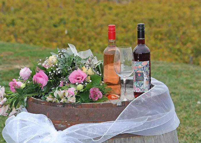 Koczor Winery &