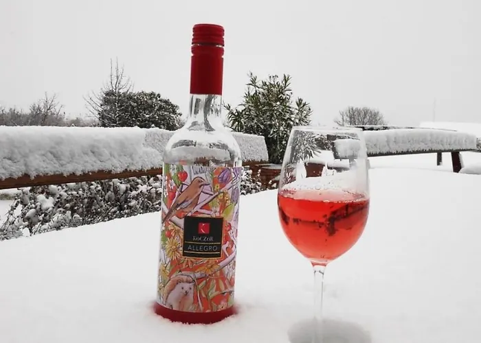 Pensiune Koczor Winery & Balatonfüred