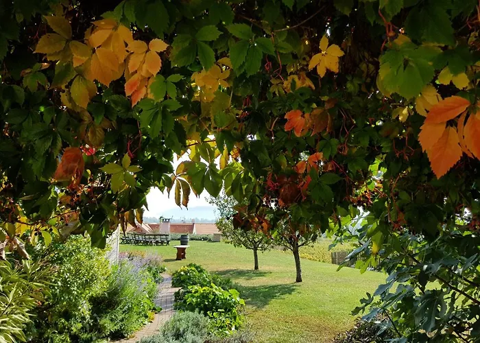 Koczor Winery &