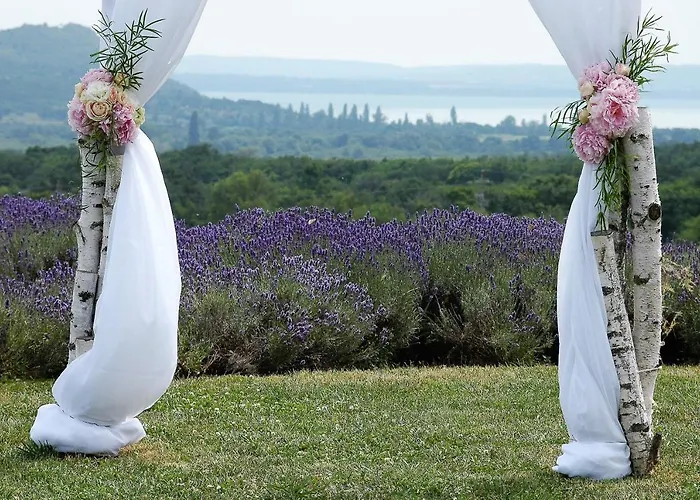 Koczor Winery & 4* באלאטונפורד
