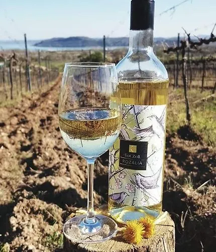 בית הארחה Koczor Winery & 4*