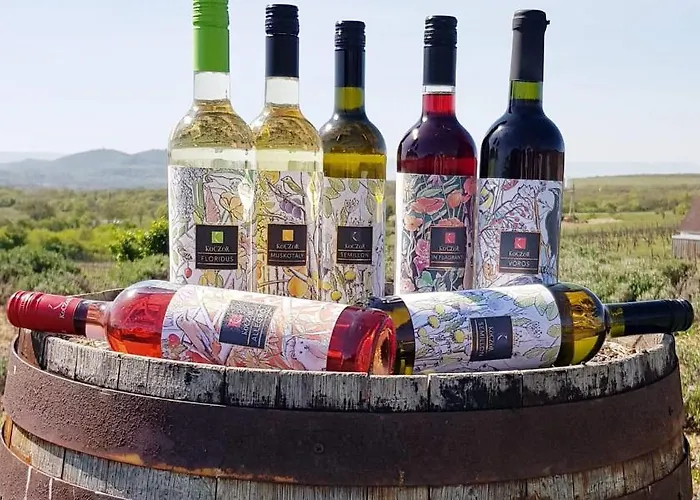 Koczor Winery & Pensiune 4*