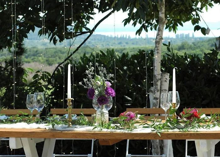 Koczor Winery &