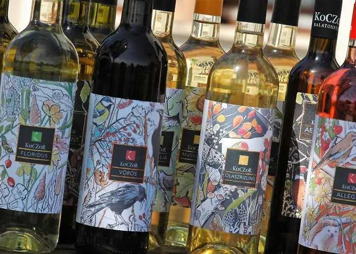 Pensiune Koczor Winery &