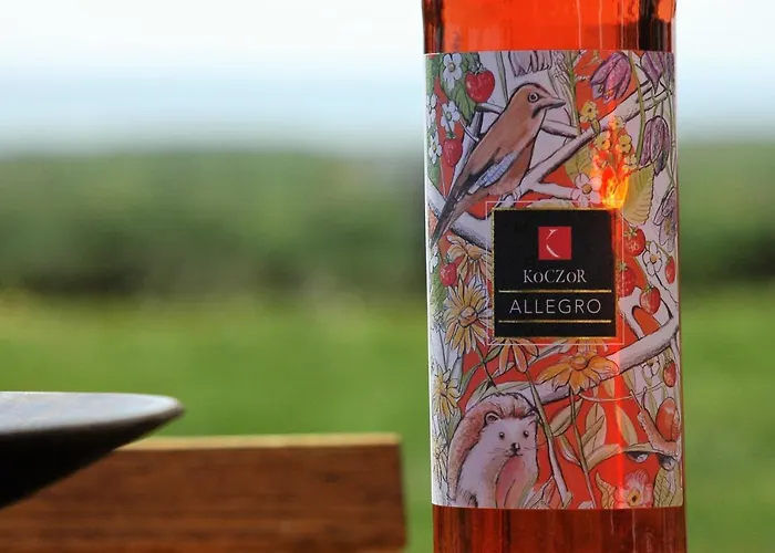 בית הארחה Koczor Winery & 4*