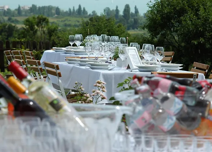 בית הארחה Koczor Winery &